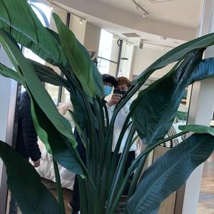 Meet your Posher, Joseph